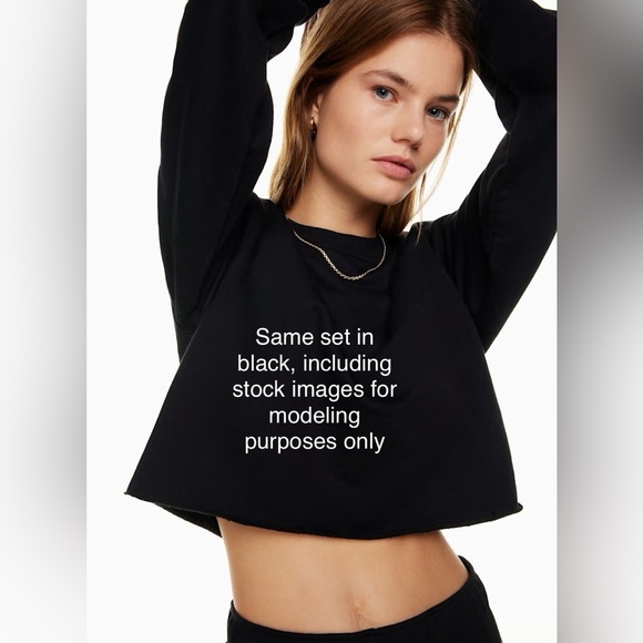 Aritzia TNA Sweatsuit Set - Mullein - Picture 8 of 12